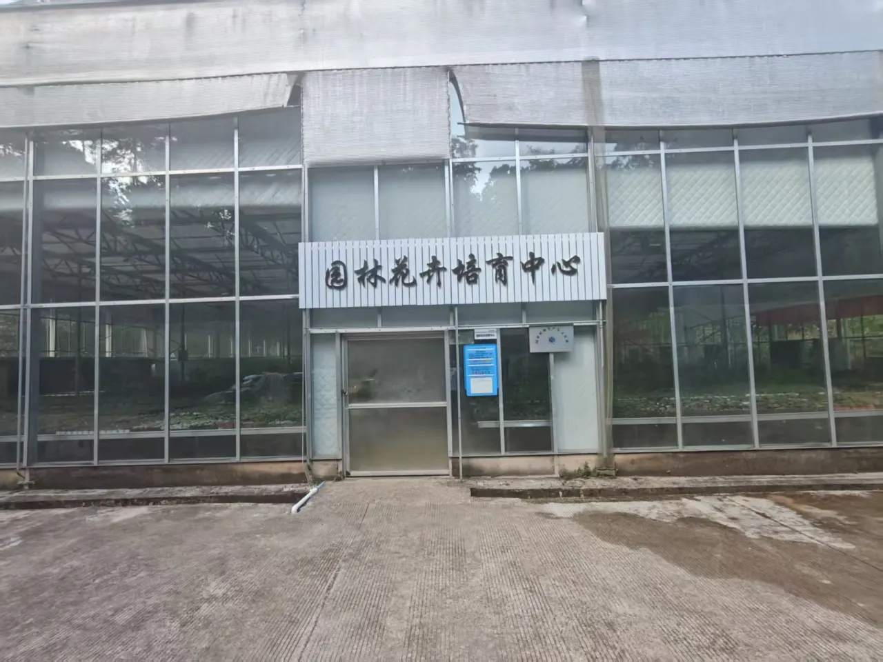 花卉培育