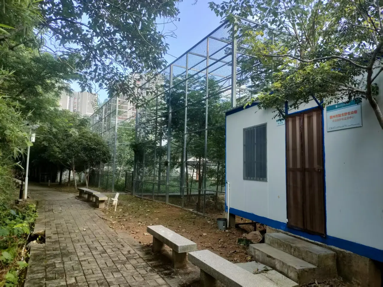野外动物