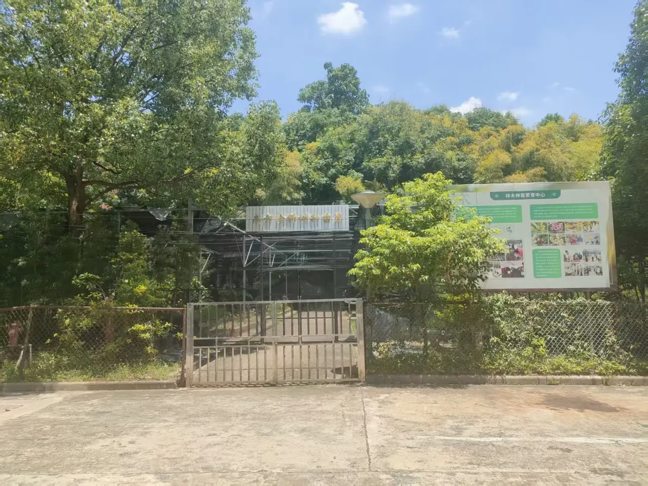 树苗苗圃