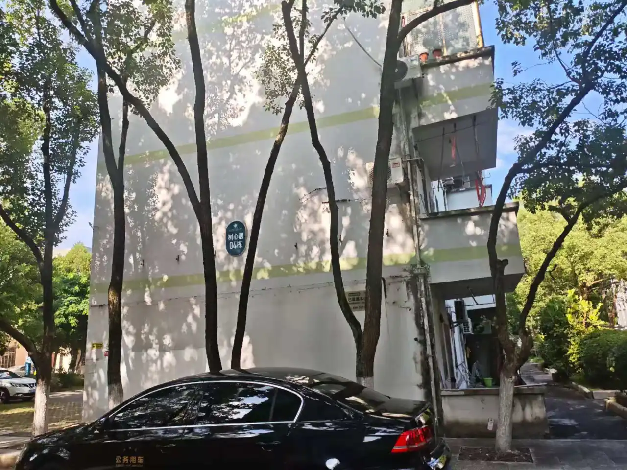 树心4