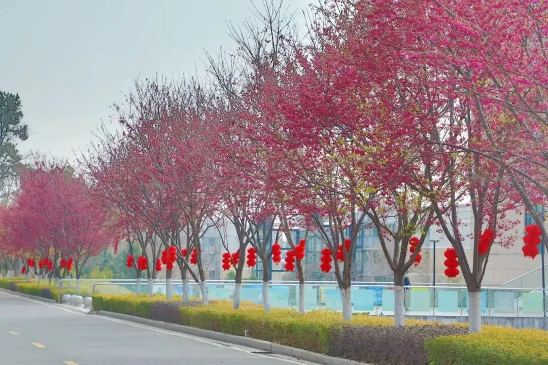 图片 9
