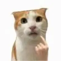 45107