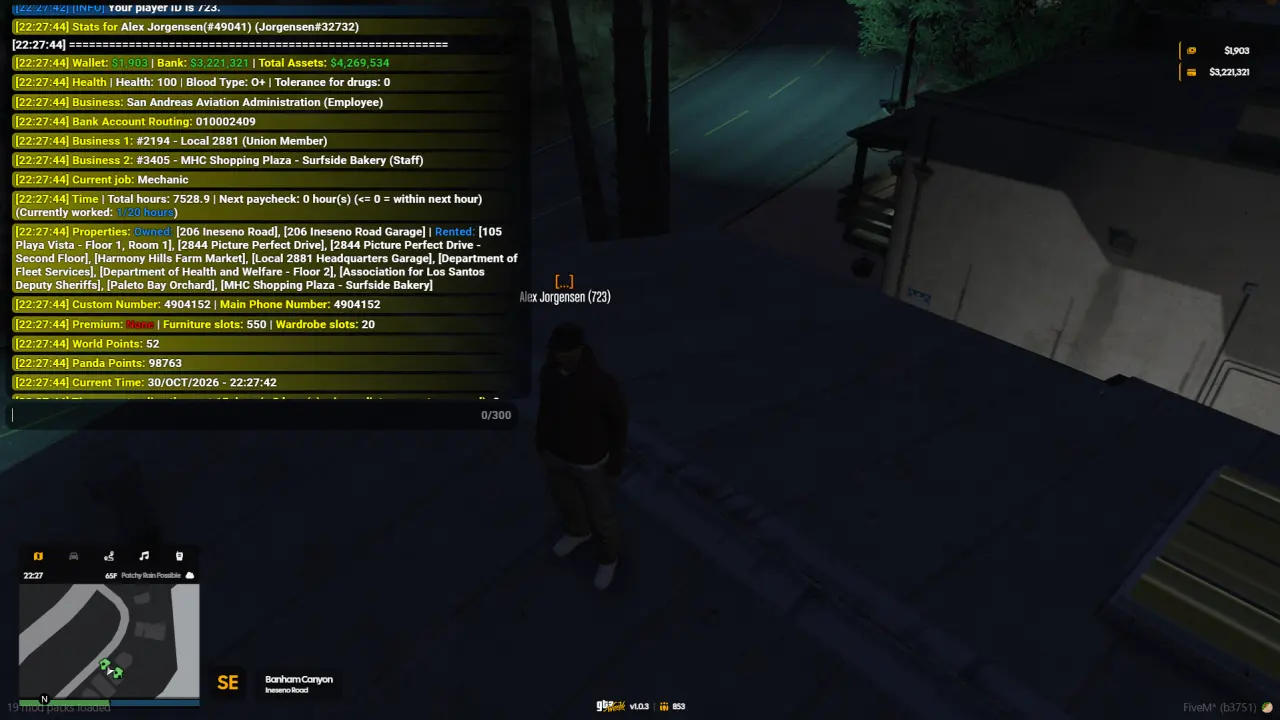 image — FiveM、游戏界面、角色属性、GTA5